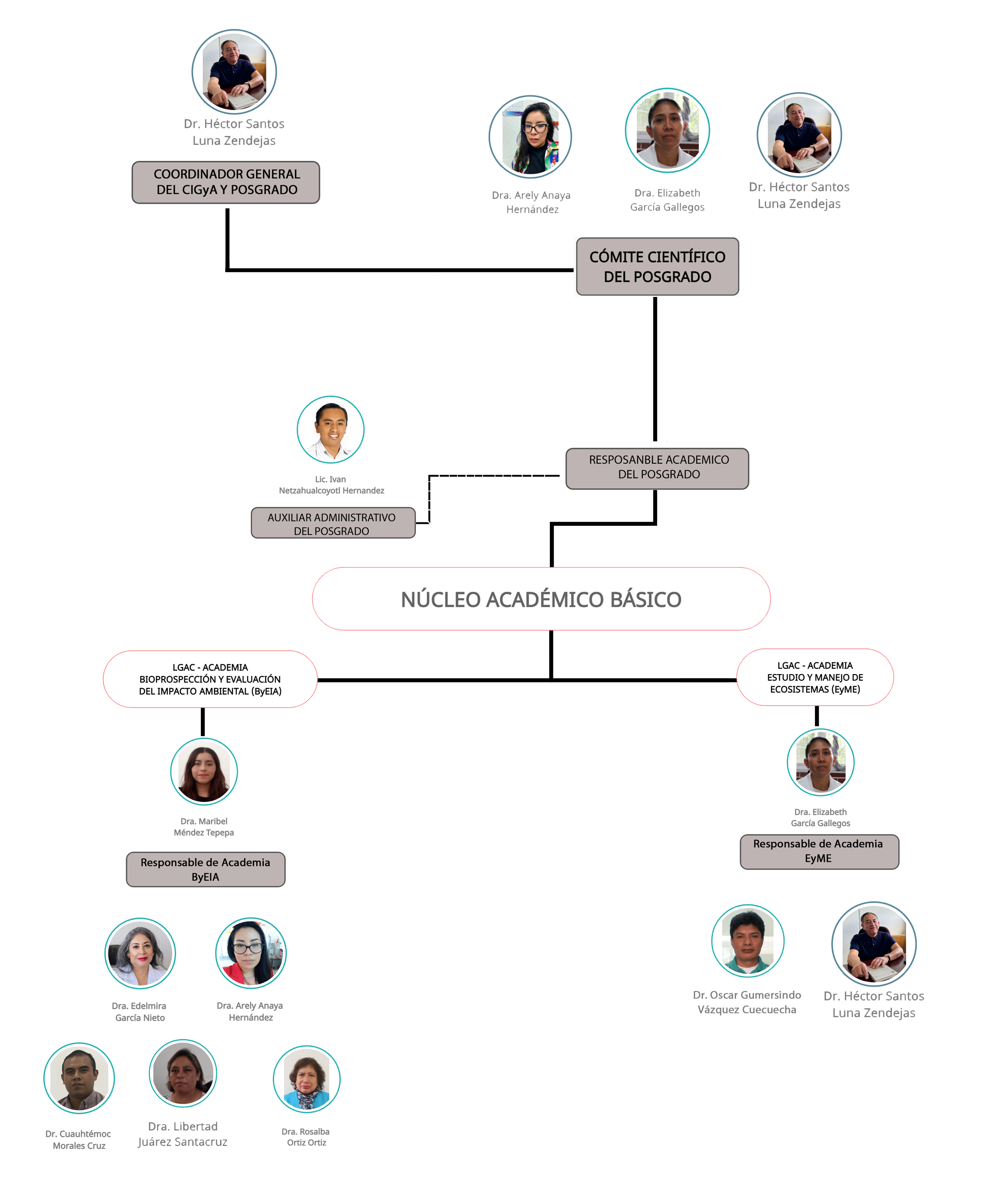 organigrama cigya