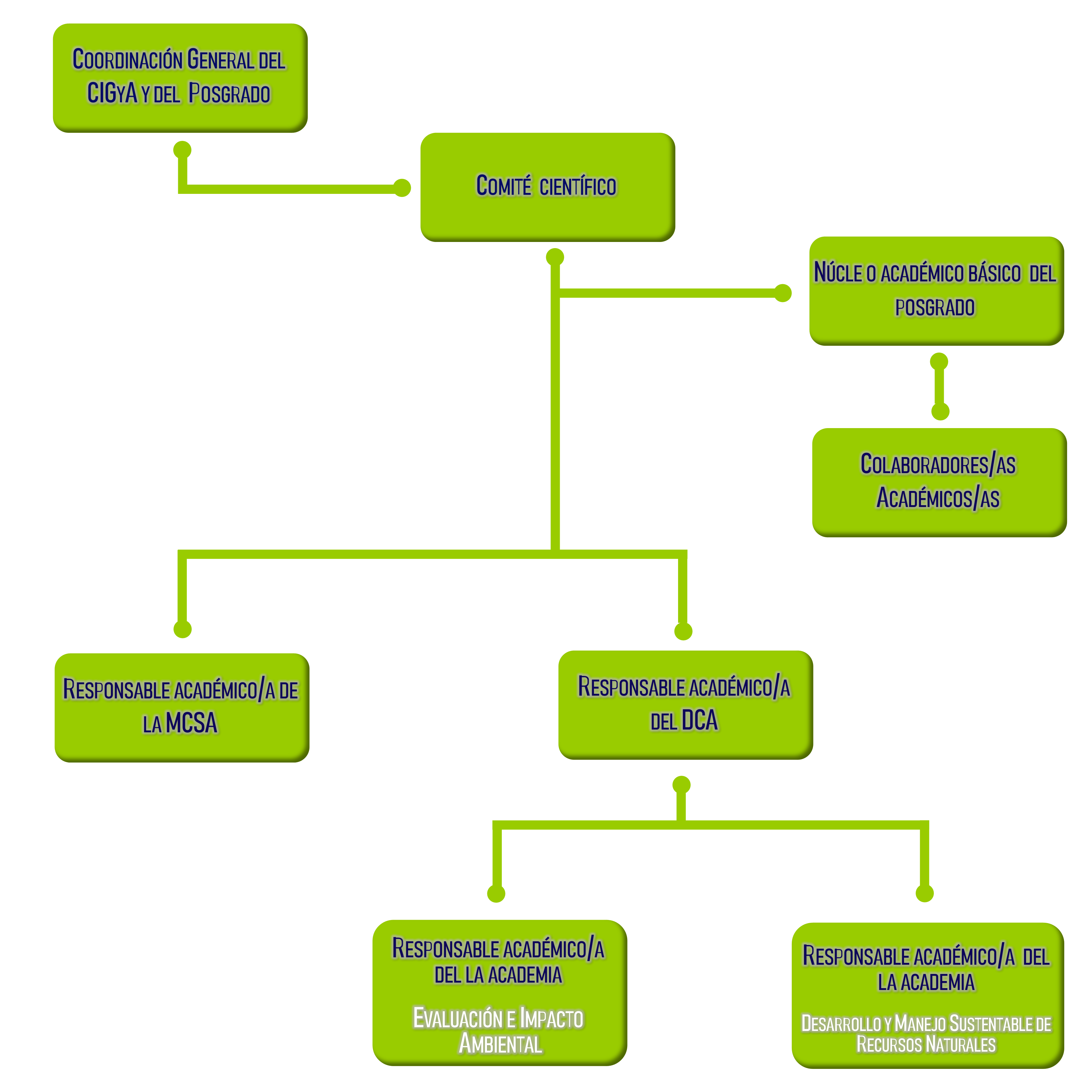 organigrama cigya