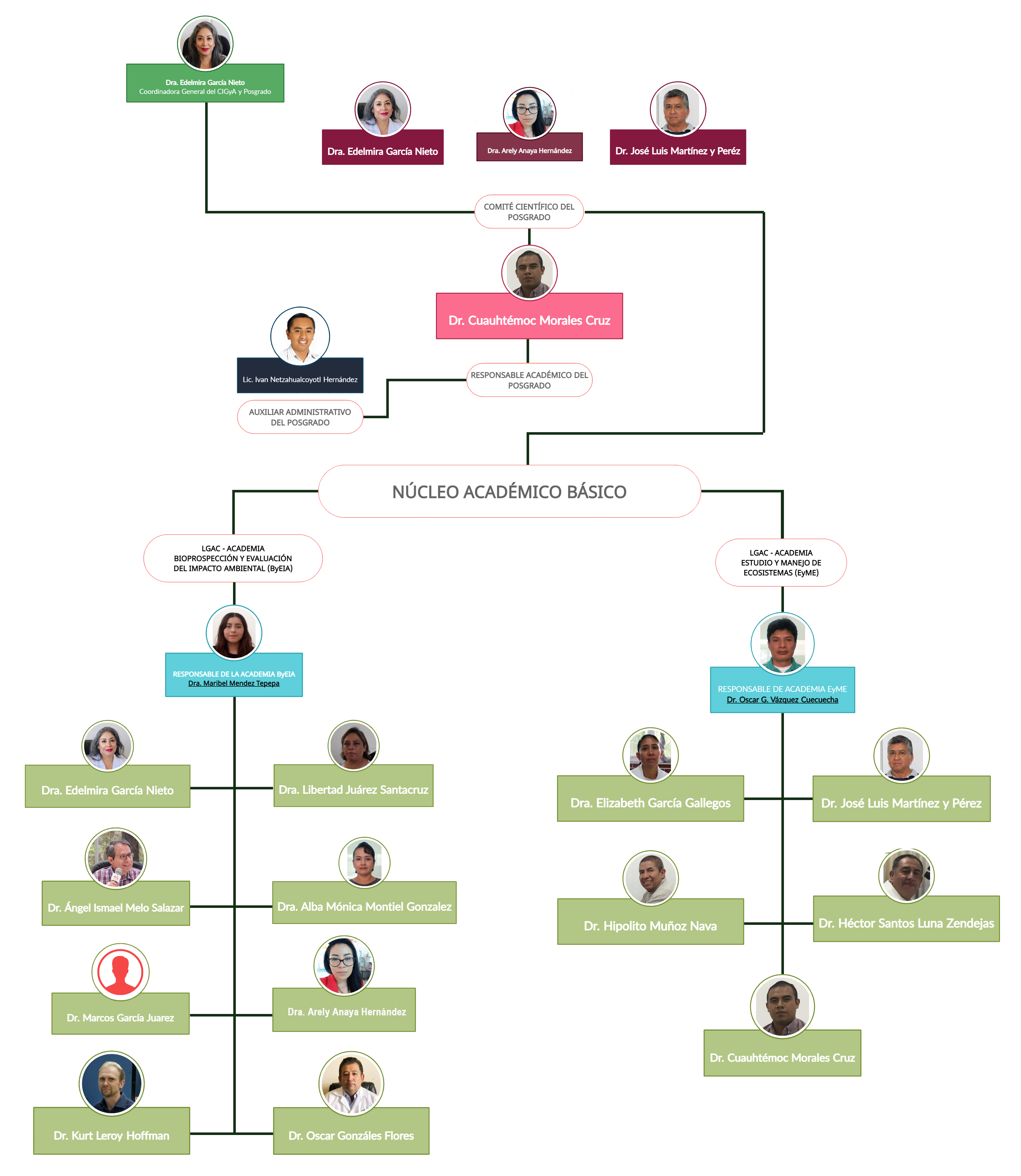organigrama cigya